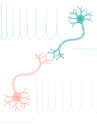 Neural ePhys Newsletter(1)-1
